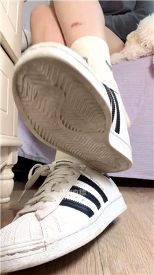 【咬猫】傻子白给棉袜 260227-30