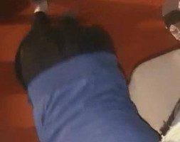 vivi,跨年夜车展遛狗