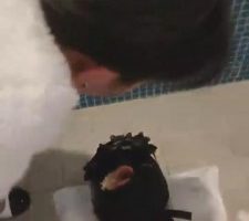 【伊莉】情侣主首调-看女友羞辱她的舔狗 bf6975