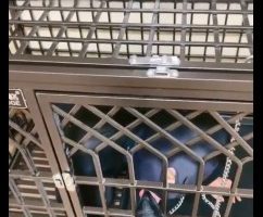 【仙女殿下】圈养的狗被暴虐 bf7118