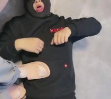 【黛黛】狗喝足牛奶洗脚水 bf8579