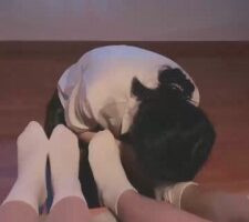 【貂蝉】可爱母畜私人影院伺候 bf17699