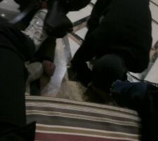 【桃幼幼】学生主户外溜双狗 bf23005