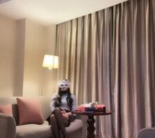 【妆主大大】真实开发员工做狗 bf24995