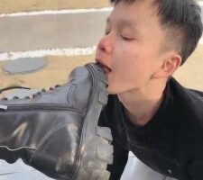 【宸宸】做御姐的圈养家奴【续集】 bf24869