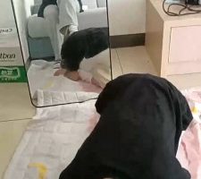 【小可可】开发可爱母畜-舔帆布鞋/头顶棉袜/闻原味/胯下辱 bf28609