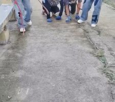 【魔鬼天使】双S户外训狗犬化 bf33342