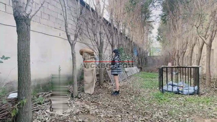 【沅芷大人】双S圈养犬化-户外暴打【双视角版】JS23101701