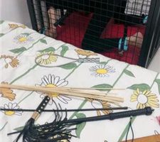 【狠欣然】圈养犬化虐待情侣奴【中】 JS23111251