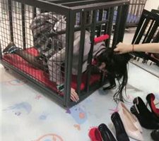 【狠欣人】狗笼圈养囚禁发骚母畜【下】 bf36977