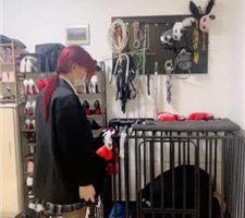 【雯雯】狗笼圈养家奴 bf36268