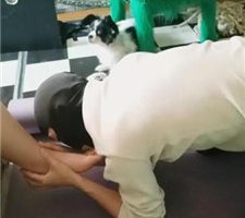 【哈市77s】跪舔高跟臭脚丫 JS231229-7