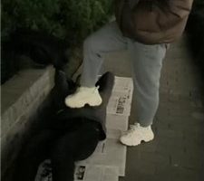 【冰爷】户外-骑马骑脖/运动鞋白袜踩踏 bf37482