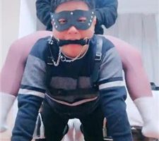 【甜音】马奴训练爬行专场【上】 bf38072