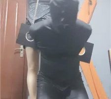 【东营天香百合】枷锁囚禁犯错的狗 JS2402018-14