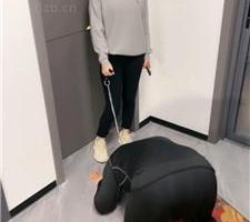 【芷镜小主】运动回来调狗-踩踏/闻臭鞋/品尝裸足 bf39472