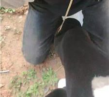 【墨殇】户外调-反绑口球塞嘴-小白鞋踩 JS240325-9