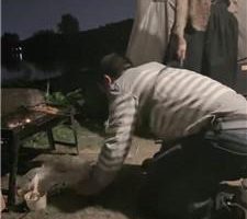 【凯瑟琳】双S户外遛狗-鞭打/跪舔脏鞋裸足/踩踏 bf40190