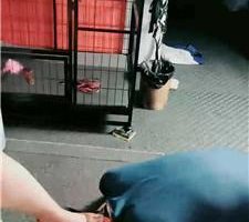 【若澜】挑战深喉/裸足高跟恋足舔 JS240421-18