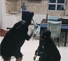 【吴迪】抽耳光/运动鞋及膝袜踢踹/骑马/喂漱口水 bf41232