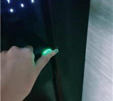 【汀兰学生主】下班回家狗奴伺候 JS240513-2