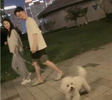 【雨琦】女神犬-户外-下跪狗爬发骚【完整版】 bf41920