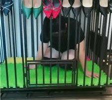 【凌儿女神】犯贱的后果-鞭子抽到跪地求饶 bf42667