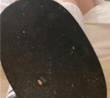 【cc.sS】进来吐 JS240726-35