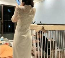 【黛樱】囚禁狗笼陪主人直播 JS240921-13