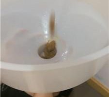 【王妃】高跟妖艳丝袜踩虐【完整版】 JS240930-1