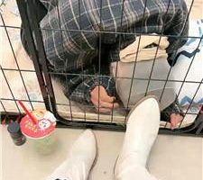 【佳佳】圈养狗笼/圣水泡面/高跟黑丝踩虐 bf46798