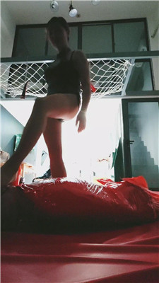 【月神】全包虐木乃伊狗    241212-6