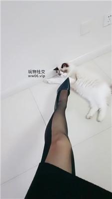 【霏霏】骑马鞭打/黑丝高跟踩踏【双视角版】 bf49284