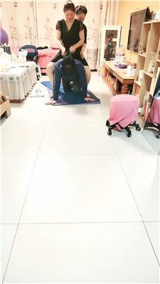 【江挽】双S骑马狗爬专场 JS250305-21