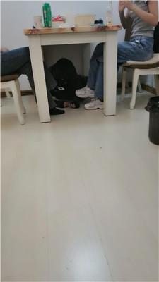 【Da猫】双S-桌底脏鞋伺候【三视角版】JS250312-30