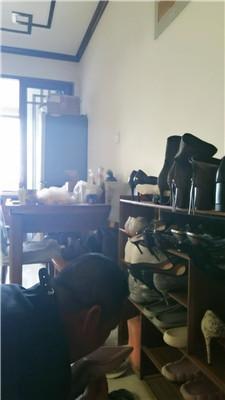 【冷艳】物化人体擦鞋器 JS250507-18