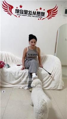 【甜甜】超脏鞋白袜羞辱奴才 JS250818-25