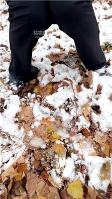 【77夫妻】冰天雪地遛人形犬 JS251116-51