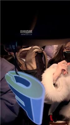 【HLlll】真实开发司机狗 JS251205-4